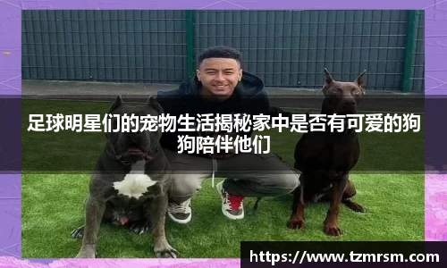 足球明星们的宠物生活揭秘家中是否有可爱的狗狗陪伴他们